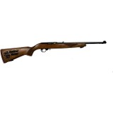 RUGER 10/22 .22 LR - 1 of 1