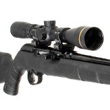 SAVAGE ARMS A17 .17 HMR - 3 of 3