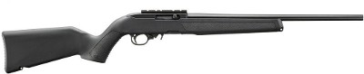 RUGER 10/22 CARBINE.22 LR - Image 1 of 1