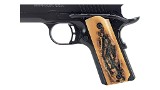 BROWNING 1911-380 Black Label .380 ACP - 3 of 3