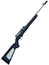 RUGER 10/22 .22 LR - 1 of 2