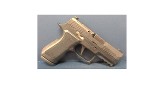 SIG SAUER P320 X-COMPACT 9MM LUGER (9x19 PARA) - 2 of 3