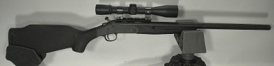 NEW ENGLAND FIREARMS CO. SPORTSTER .17 HMR - Image 2 of 3