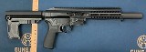 PATRIOT ORDNANCE FACTORY (POF) P-SG 22 .22 CAL - 3 of 3