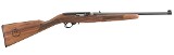 RUGER 10/22 TAKEDOWN .22 LR - 1 of 1