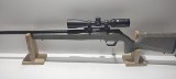 SPRINGFIELD ARMORY 2020 RIMFIRE TARGET - SAGE 22 LONG RIFLE (22LR) - 2 of 3