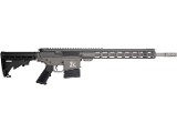 GREAT LAKES FIREARMS AR10 .308 WIN - 1 of 1