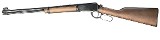 HENRY H001 .22 long - 1 of 3