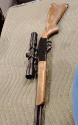 WINCHESTER 190 .22 LR - Image 3 of 3