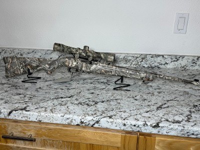 RUGER 10/22 FIFTY YEARS .22 LR - Image 1 of 3