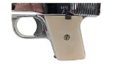 PHOENIX ARMS Raven .25 ACP - 2 of 3