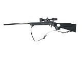 THOMPSON/CENTER ARMS Encore .35 WHELEN - 1 of 3