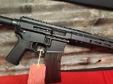 PALMETTO STATE ARMORY PA-15 Custom .17 HMR - 3 of 3
