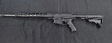 PALMETTO STATE ARMORY G3-10 .308 WIN - 2 of 3