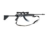 RUGER 10/22 carbine.22LR/.22MAG - 1 of 3