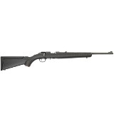 RUGER AMERICAN .22 LR - 2 of 3