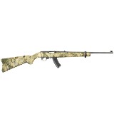 RUGER 10/22 .22 LR - 2 of 2