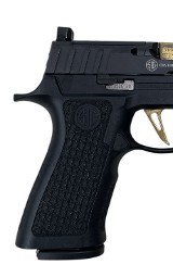 SIG SAUER P320 Specter 9MM LUGER (9x19 PARA) - 3 of 3