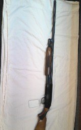 MOSSBERG 500 20 GA - Image 1 of 1