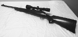 REMINGTON 700 .243 WIN - 1 of 3