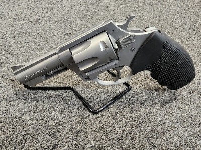 CHARTER ARMS PIT BULL .380 ACP - Image 3 of 3