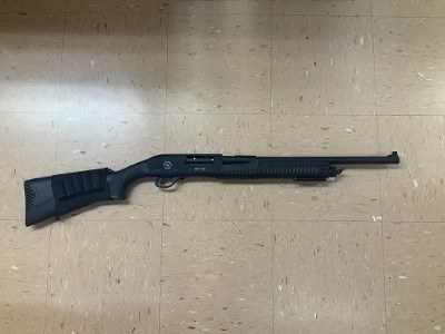 T R IMPORTS SILVER EAGLE RZ17 HOME DEFENSE 12 GA - Image 1 of 3