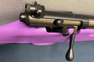 SAVAGE ARMS RASCAL PURPLE .22 LR - Image 3 of 3