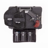 COBRA CB38 .38 SPL - 3 of 3