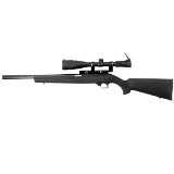 RUGER 10/22 CARBINE .22 LR - 1 of 3