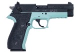 AMERICAN TACTICAL IMPORTS FireFly .22 LR - Image 1 of 1