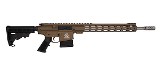 GREAT LAKES FIREARMS AR10 .308 WIN - 1 of 1
