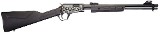 ROSSI GALLERY .22 LR - 1 of 1