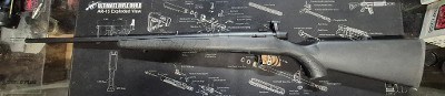 SAVAGE ARMS b-mag .17 WSM - Image 3 of 3