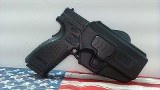 SPRINGFIELD ARMORY XD-9 9MM LUGER (9x19 PARA) - 9 of 10