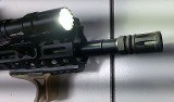 PALMETTO STATE ARMORY pa-15 ~ Vortex & OLight 5.56X45MM NATO - 11 of 12