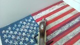 COLT m1903 pocket pistol .32 ACP - 5 of 9