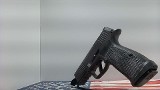 SIG SAUER P365 AXG LEGION 9MM LUGER (9X19 PARA) - 5 of 8