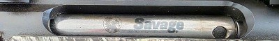 SAVAGE ARMS AXIS II .22-250 REM - Image 8 of 12