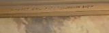 BROWNING X-BOLT HELLS ON SPEED 6.5mm CREEDMOOR - Image 12 of 17