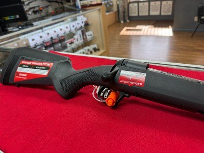 SAVAGE 10/110 .25-06 REM - Image 3 of 3