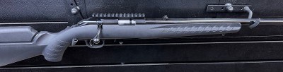 RUGER AMERICAN .17 HMR - Image 3 of 3