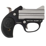 BOND ARMS STINGER .380 ACP - 2 of 2