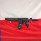 PALMETTO STATE ARMORY PA-15 .300 AAC BLACKOUT - 1 of 3