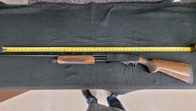 CHARLES DALY 301 12 GA - Image 2 of 2