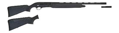 TRISTAR ARMS INC. RAPTOR II 20 GA - Image 1 of 1