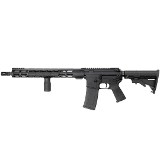 PALMETTO STATE ARMORY PA-15 .300 AAC BLACKOUT - 1 of 2