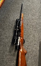 RUGER m77 mark 2 .243 WIN - 2 of 3
