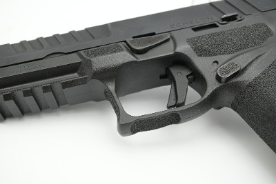 SPRINGFIELD ARMORY ECHELON 9MM LUGER (9x19 PARA) - Image 18 of 22