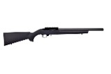 RUGER 10/22 .22 LR - 1 of 1