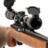 RUGER 10/22 CARBINE .22 LR - 3 of 3